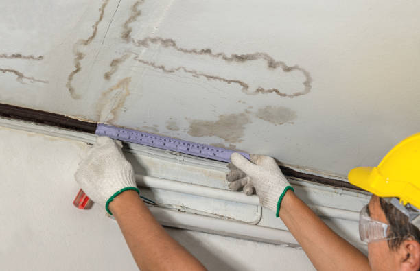 Reliable Water Damage contractor in Bettsville, OH by Water Damage Irwin